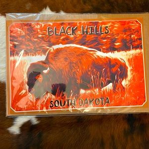 Black Hills Buffalo Poster!